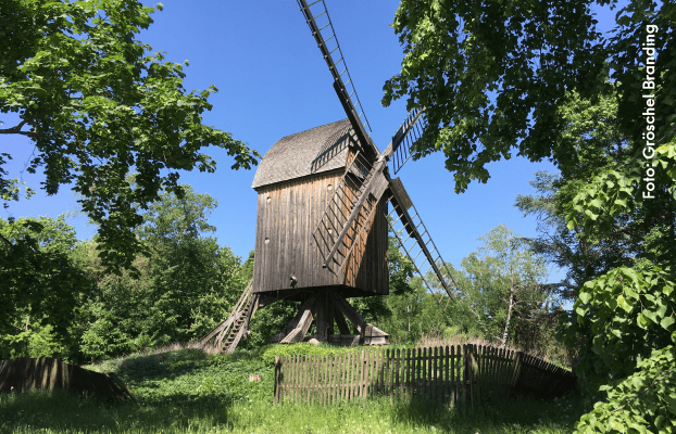 Windmühlenberg: Rückkehr zur ursprünglichen Landschaft